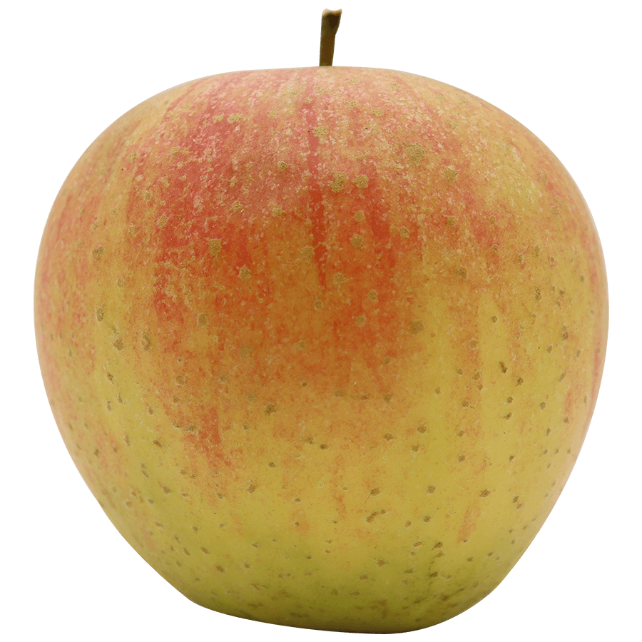 Rubinette Apfel